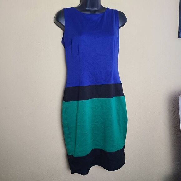 Enfocus Studio Colorblock Dress  - Picture 1 of 8